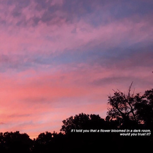 成人秘密网站soul
